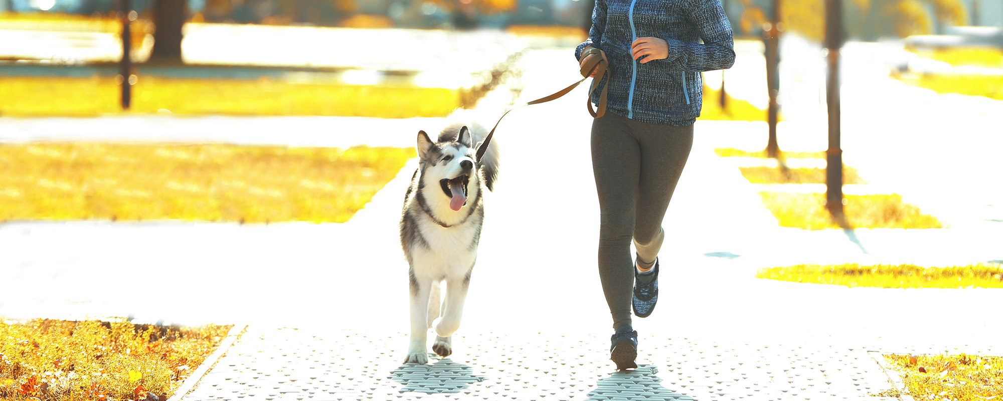 happy young woman jogging with her dog in park