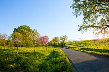 spring road